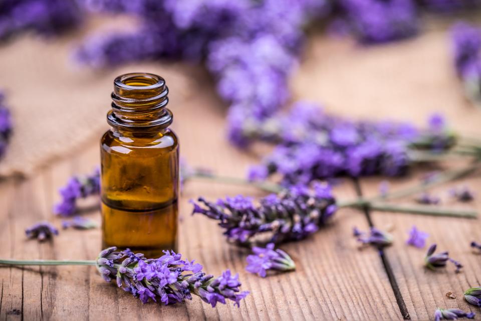 Small container of lavender oil surrounded by lavender.