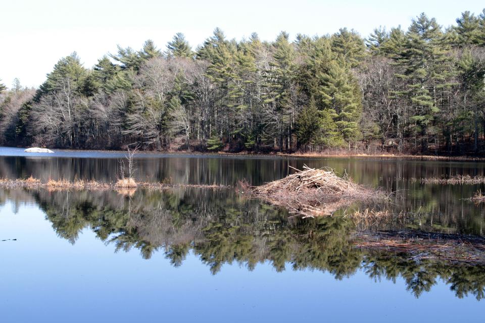 Capwell Mill Pond in the Big River Management Area. While the reservoir project was killed in 1990, the land was retained by the state as a recreation area and could be used as a water source in the future.