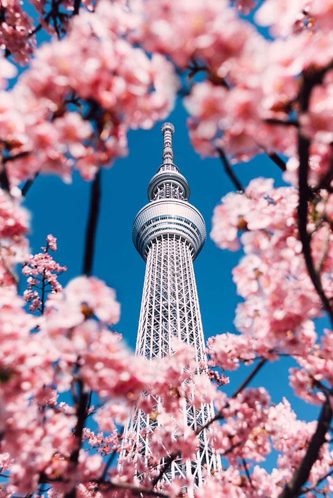 東京晴空塔（Image Source : Getty Creative）