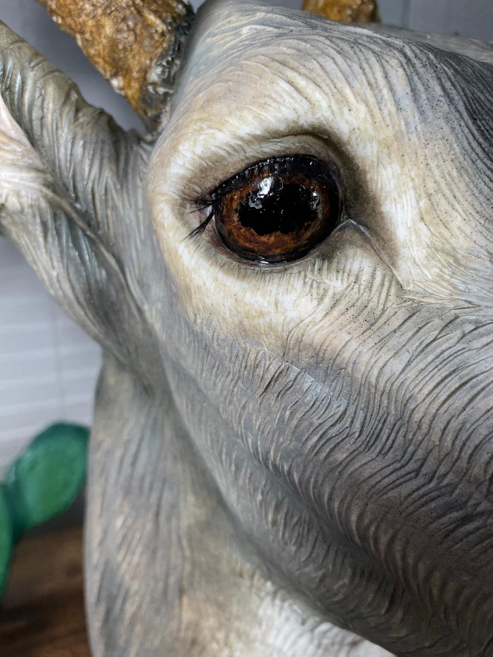 Dusty Sinclair of Corpus Christi, owner of Sugarbelle Sweets, uses taxidermy knowledge to create lifelike animal cakes using buttercream and modeling chocolate. Since 2020, Sinclair has specialized in creating realistic hunting and fishing inspired cakes for weddings and large events.