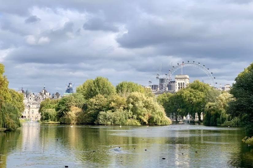 A photograph taken by Mr Martin while in London (Robert Martin)