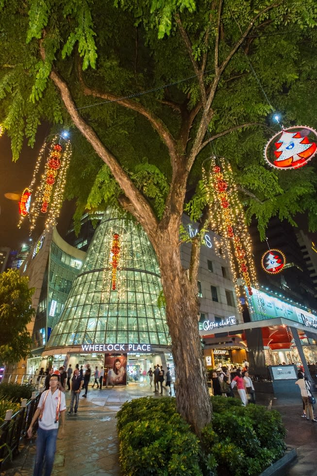 Orchard Road Christmas Festive Light-up