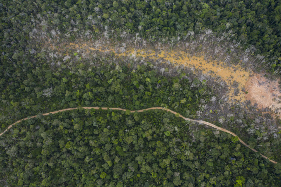 This April 3, 2019 photo shows the destruction of the jungle caused by illegal miners in Peru's Tambopata province. Earlier in the year, Peru's government launched "Operation Mercury" in which police and military troops build makeshift bases inside the Amazon jungle to chase away thousands of illegal miners who deforested the tropical forests in search for gold. (AP Photo/Rodrigo Abd)