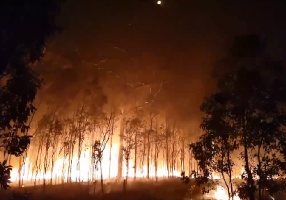 A bushfire raged through areas near Deepwater, Queensland. Image: Branyan Rural Fire Brigade via Storyful