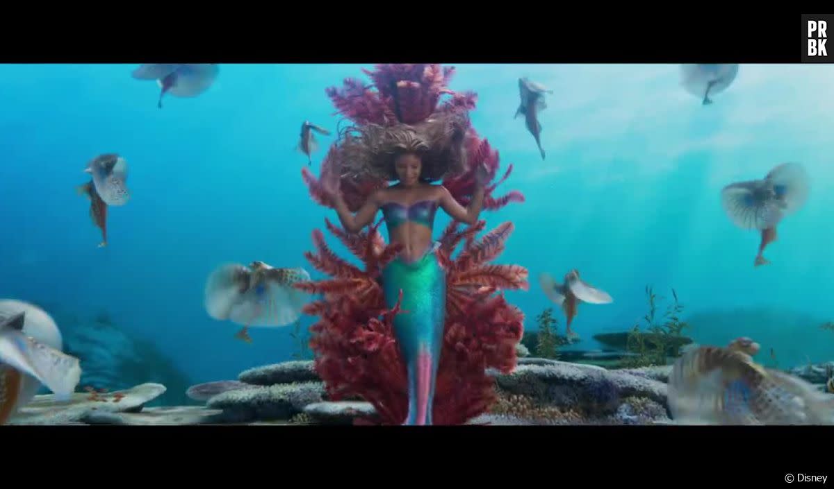 La bande-annonce du live action de La Petite Sirène : le design de Polochon dégoute les internautes - Disney
