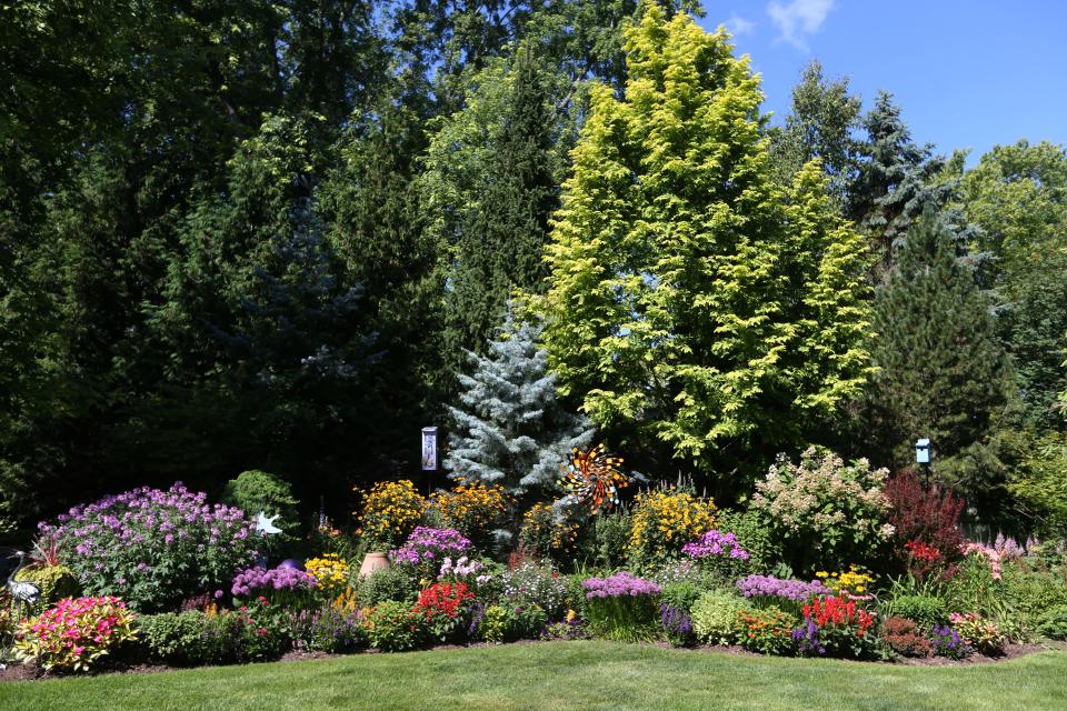 Mature trees create a backdrop for plants and flowers in  Dorothy Danforth's yard.  She says she has a "conifer addiction" and has planted 200 varieties of them.