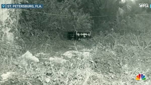 aerial view of the crime scene