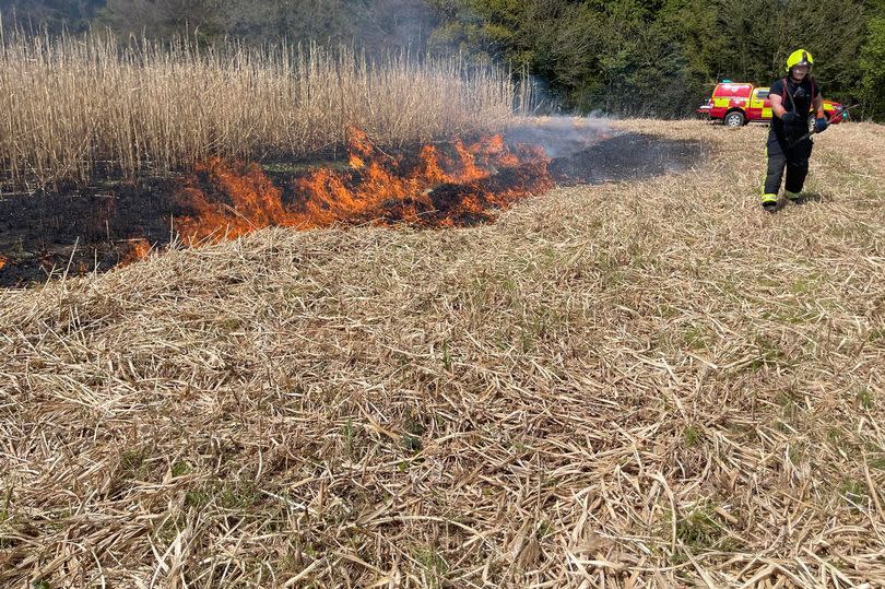 Firefighters tackle a crop blaze in Broomfield, Somerset -Credit:Taunton Fire Station