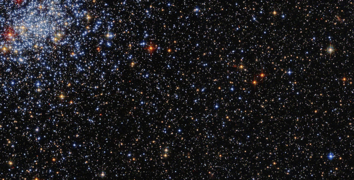  Hubble Space Telescope photo of the globular cluster NGC 2031, located in the constellation Mensa in the Large Magellanic Cloud. 