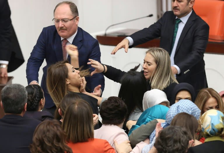 Debate on a bill that would dramatically expand the Turkish president's powers have been fractious and the assembly has witnessed some of the worst fighting in years