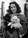 <p>The actress is photographed on the deck of the "SS Mary" departing from Southampton, England with her pet poodles, one of which was named Teeny. </p>