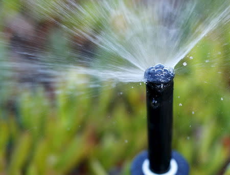 A backyard irrigation sprinkler waters a residential property in Encinitas, California April 21, 2015. REUTERS/Mike Blake