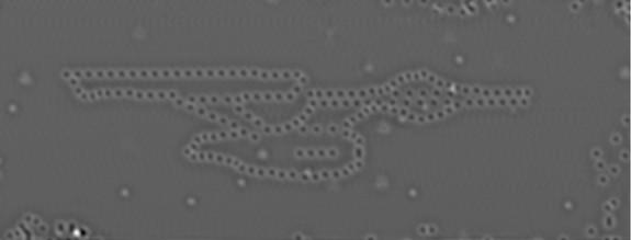 Nanophysicists working with IBM have created a Starship Enterprise using single atoms arranged with a powerful microscope.