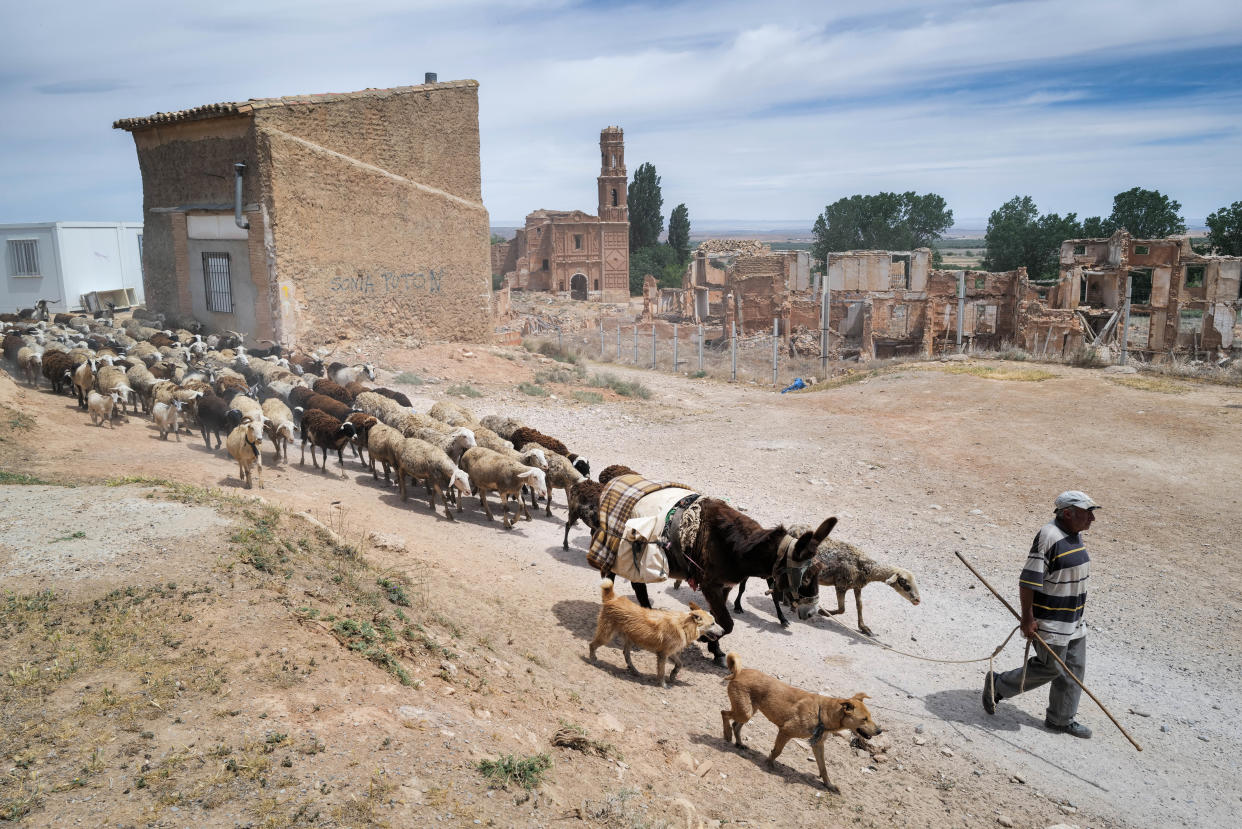 Jose Manuel Garcia leads his large flock of sheep down an arid slope with ruined buildings and a church in the background.