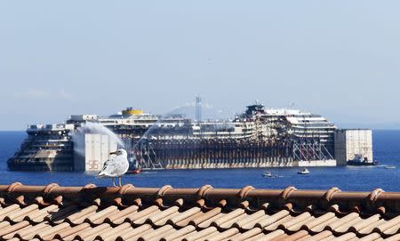 A seagull stands on a roof as tugboats spay water in farewell to the cruise liner Costa Concordia during the refloat operation maneuvers at Giglio Island July 23, 2014. REUTERS/ Giampiero Sposito