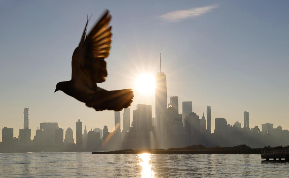 (Photo: Gary Hershorn via Getty Images)