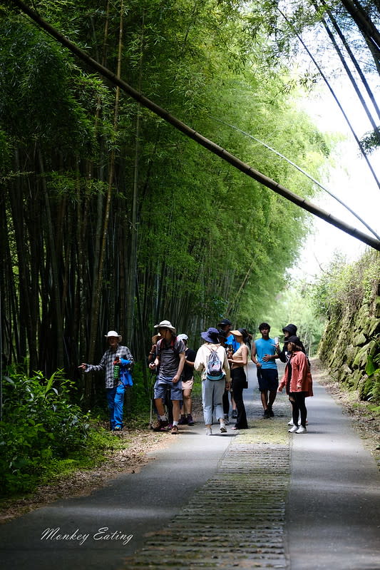 嘉義阿里山｜二延平步道