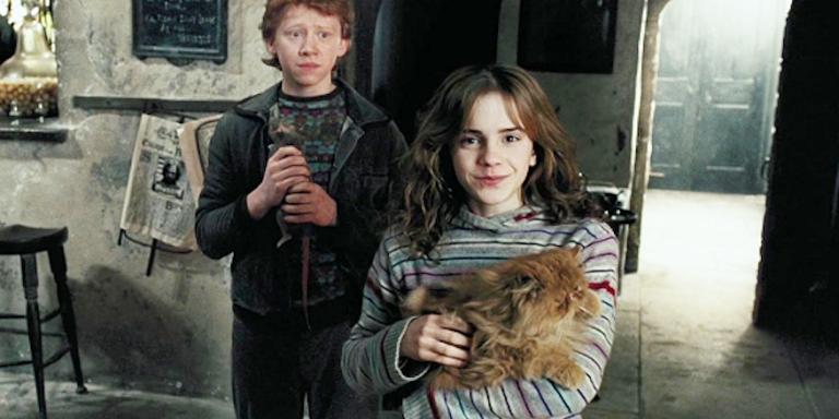 Jacob's sibling's cat, Harry Potter Wiki