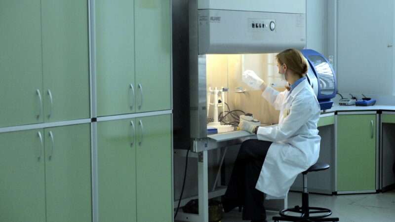 A female scientist works at a lab station, testing DNA.