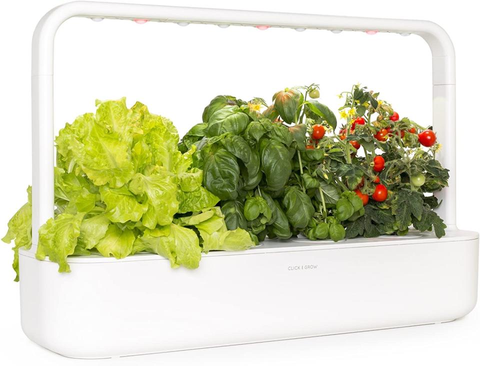 Click & Grow Indoor Herb Garden