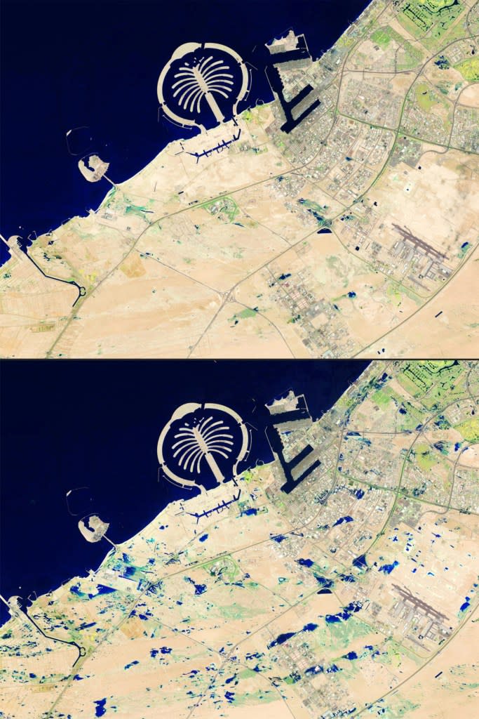 This picture from NASA’s Earth Observatory shows false colour (bands 6-5-3) satellite images of Jebel Ali, about 22 miles southwest of Dubai, before and after recent flooding. AFP via Getty Images