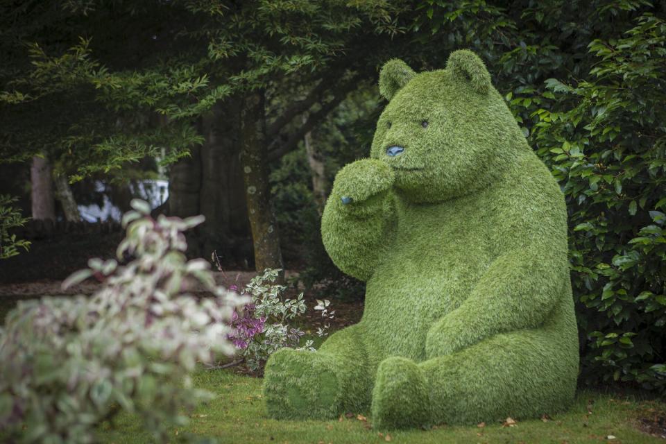 homewood freshford uk bear in garden