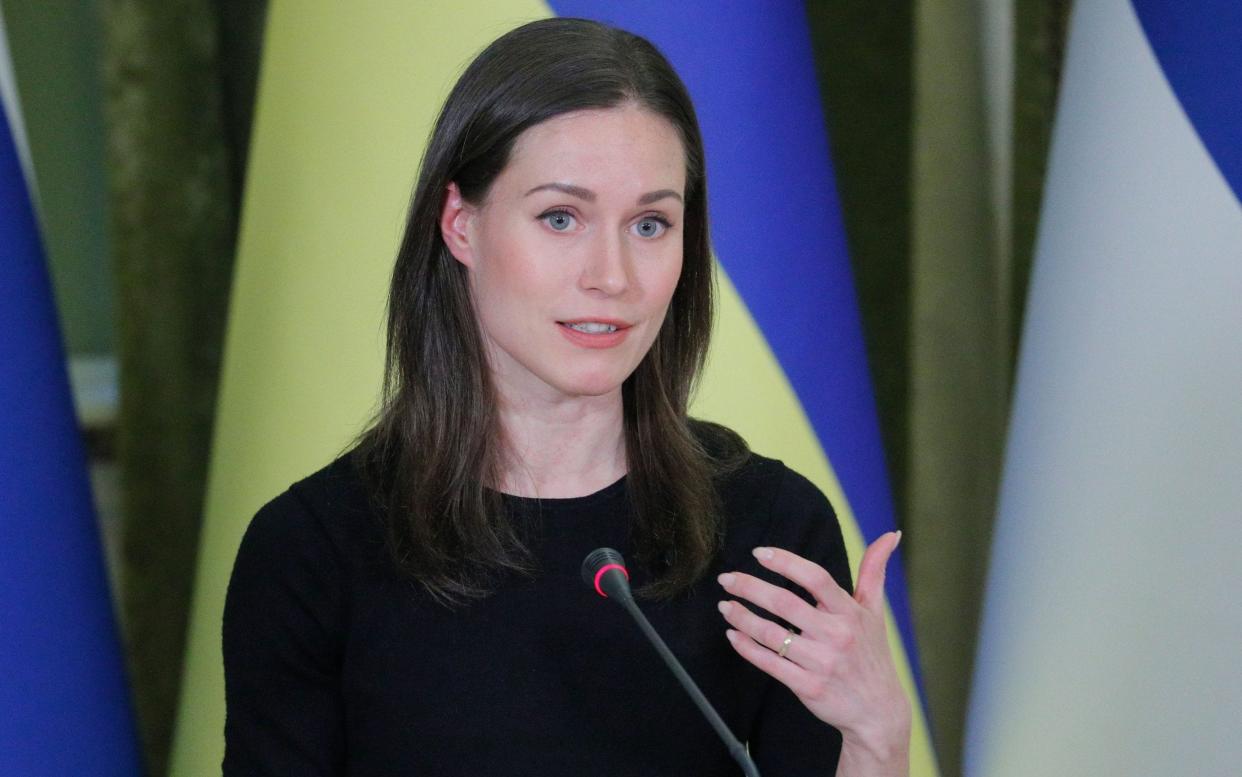 Sanna Marin, the Finnish prime minister, made the suggestion on a trip to Kyiv - but reportedly without first discussing it with the government - Sergey Dolzhenko/Shutterstock