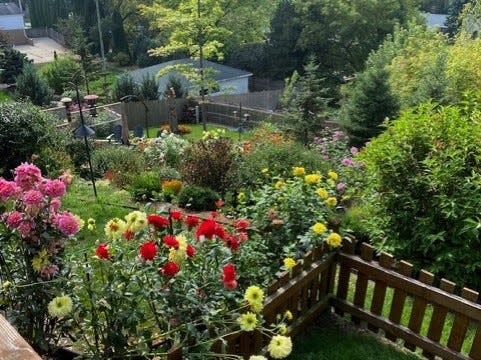 The Port Washington Garden Club Fall Garden Walk will have about six gardens to show on Sept. 9.