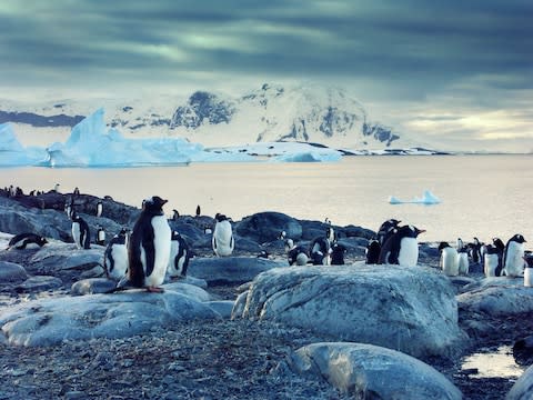 The final frontier: Antarctica - Credit: Getty