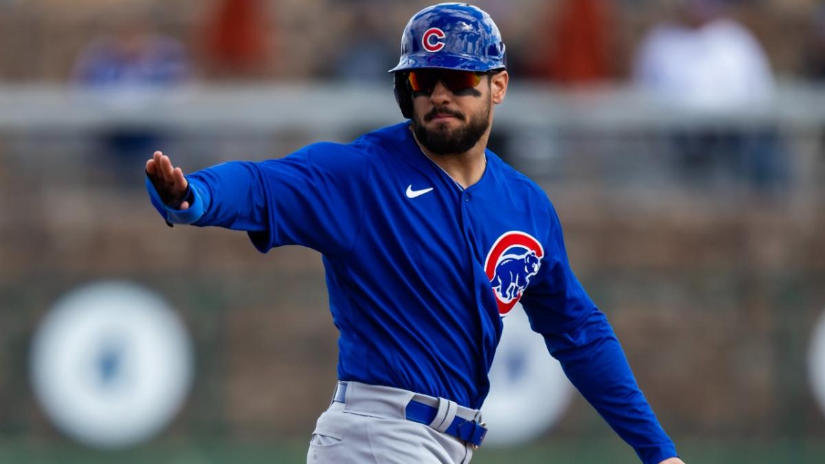 Chicago Cubs Mike Tauchman: Obvious Shirts makes Palatine Pounder