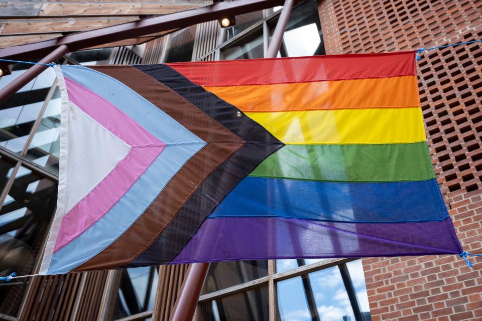 The Pride Progress flag