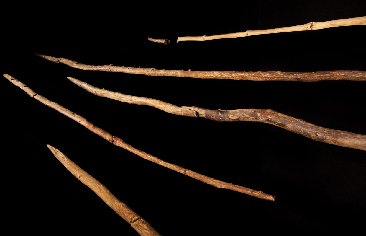 Un detalle de lanzas y bastones de cacería de hace unos 300.000 años. (Departamento de Legado Cultural de la Baja Sajonia vía The New York Times)