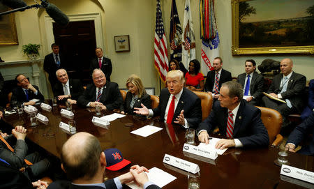 U.S. President Donald Trump holds a meeting with House Republicans at the White House in Washington, U.S. February 16, 2017. REUTERS/Kevin Lamarque