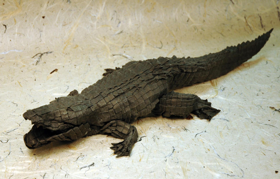 This undated photo courtesy of Origamido in Haverhill, Mass., shows an origami model of an alligator. Designed by Micheal G. LaFosse, the finished piece is 18 inches long. It was folded from a 6-foot by 6-foot piece of paper made by Richard Alexander. (AP Photo/Origamido)