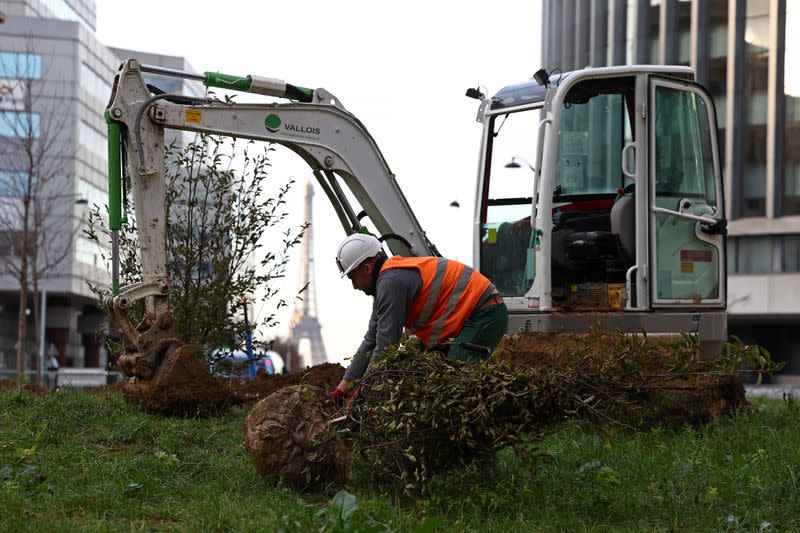 Paris to plant first "urban forest" on busy roundabout in drive to build a garden city