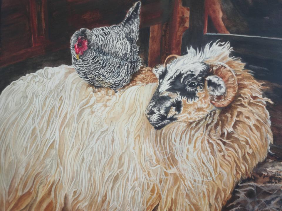 Sheep and Chicken in Barn a watercolor by Linn Stillwell