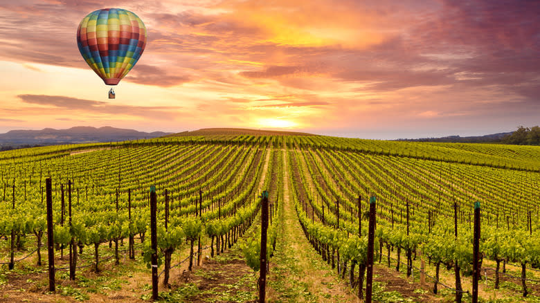 Napa Valley vineyard with hot air balloon