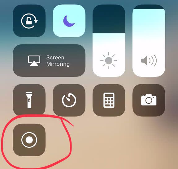 The dreaded Screen Recording button.