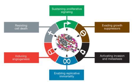 Hallmarks of Cancer 1: Self-Sufficiency in Growth Signals