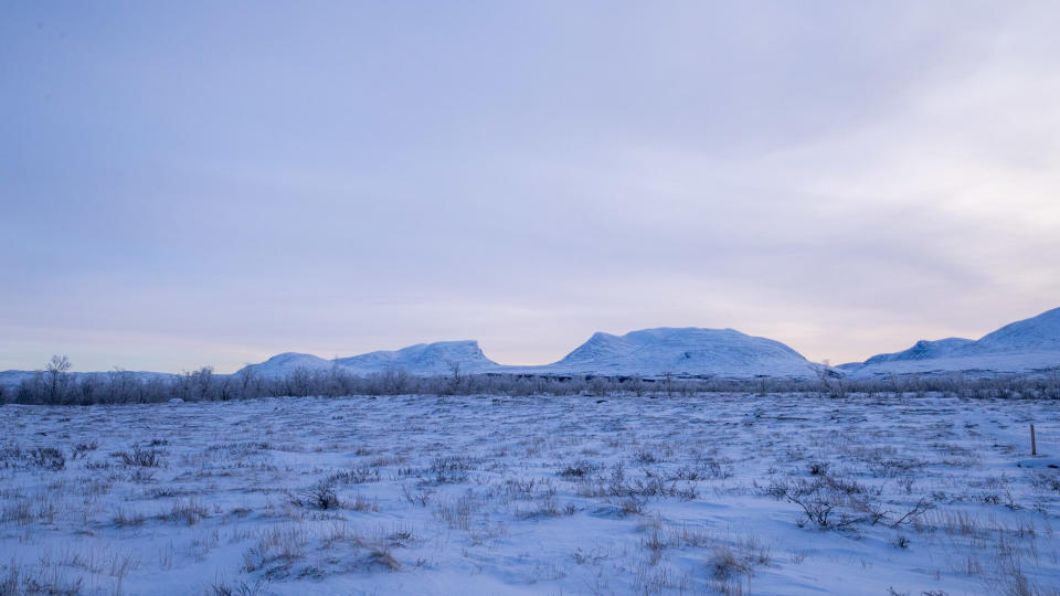 aurora hunting trip in Abisko National Park