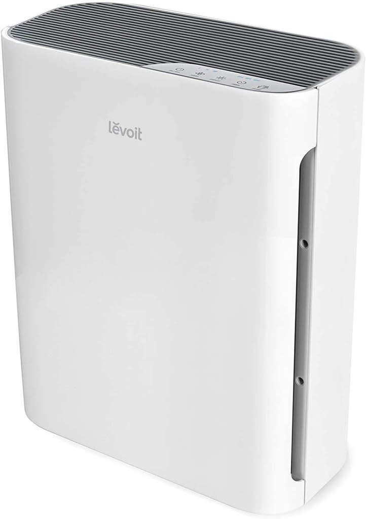 best air purifier for mold