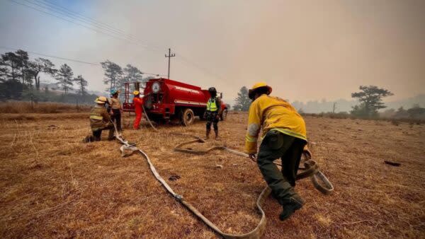 incendio jalisco 10