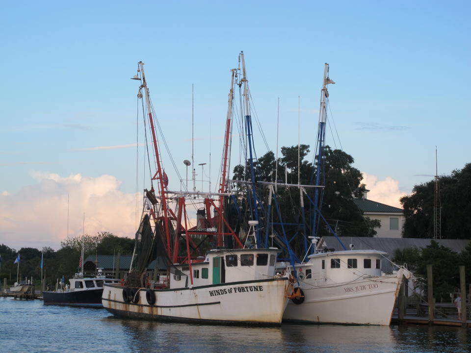 Shrimp boats sit at dock in Mount Pleasant, S.C., in this August 18, 2013 photograph. Lawmakers in both state legislatures and in Washington, D.C., have been considering bills that would help to ensure more accurate labeling of seafood. (AP Photo/Bruce Smith)