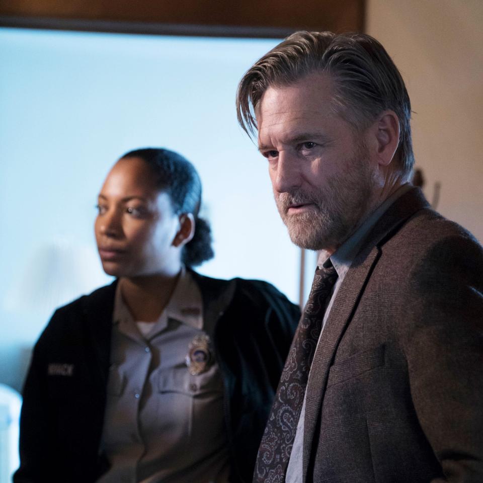 Bill Pullman plays grizzled police officer Harry Ambrose - USA Network