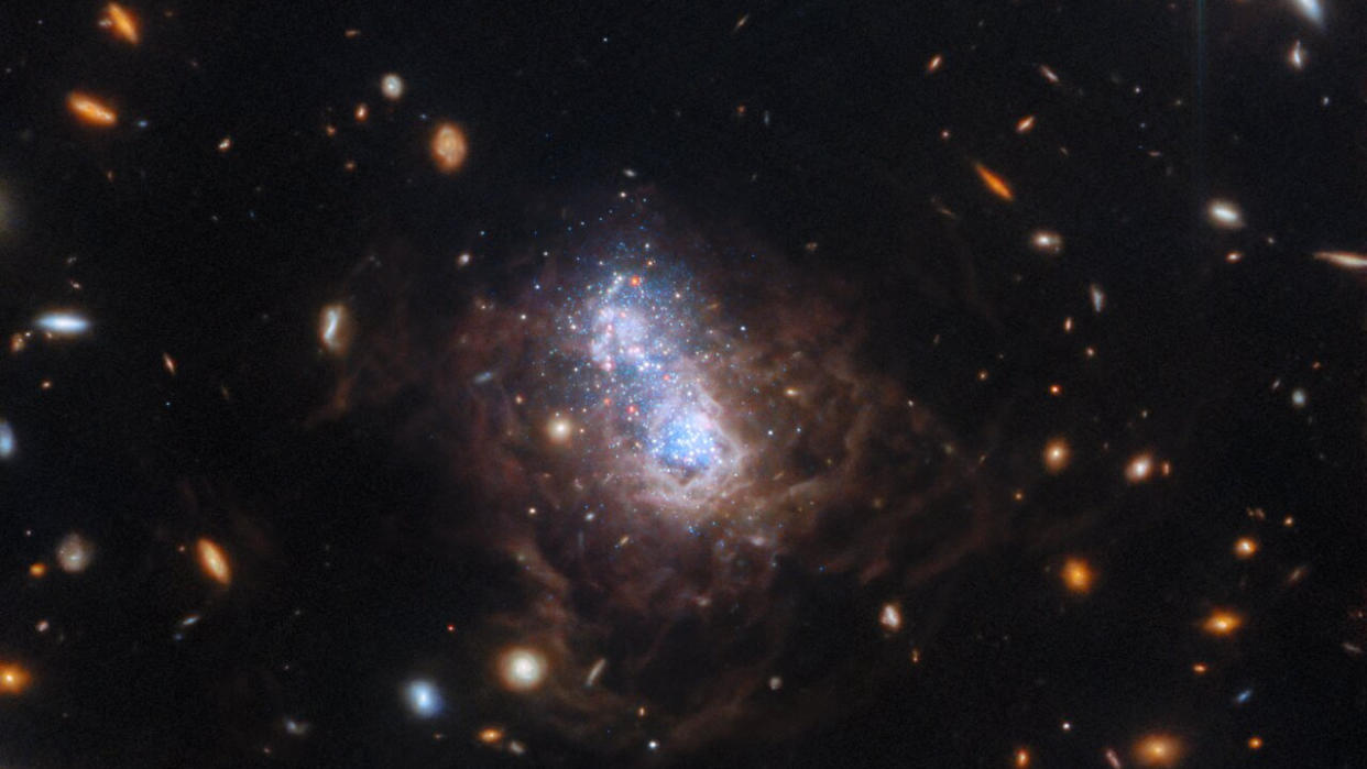  The dwarf irregular galaxy I Zwicky 18 lies at the center of this image. The bright region of white and blue stars at the galaxy’s core appear as two distinct lobes, representing different periods of star formation. . 