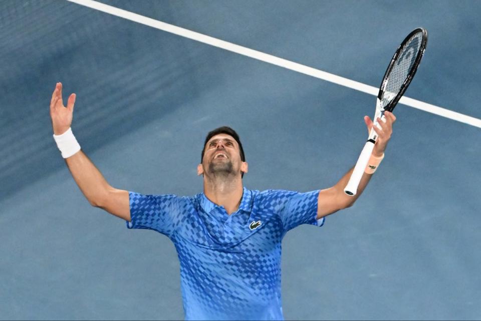 Champion: Novak Djokovic  (AFP via Getty Images)