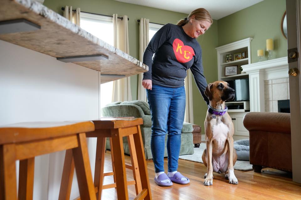 Amy Pursely gives Sadie a reassuring pet on the neck Tuesday at the Overland Park home where she's lived since being adopted Feb. 22.  Sadie was among animals rescued Jan. 30 from a Topeka house where conditions were described as being "horrific."