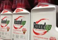 Monsanto Co's Roundup is shown for sale in Encinitas, California, U.S., June 26, 2017. REUTERS/Mike Blake