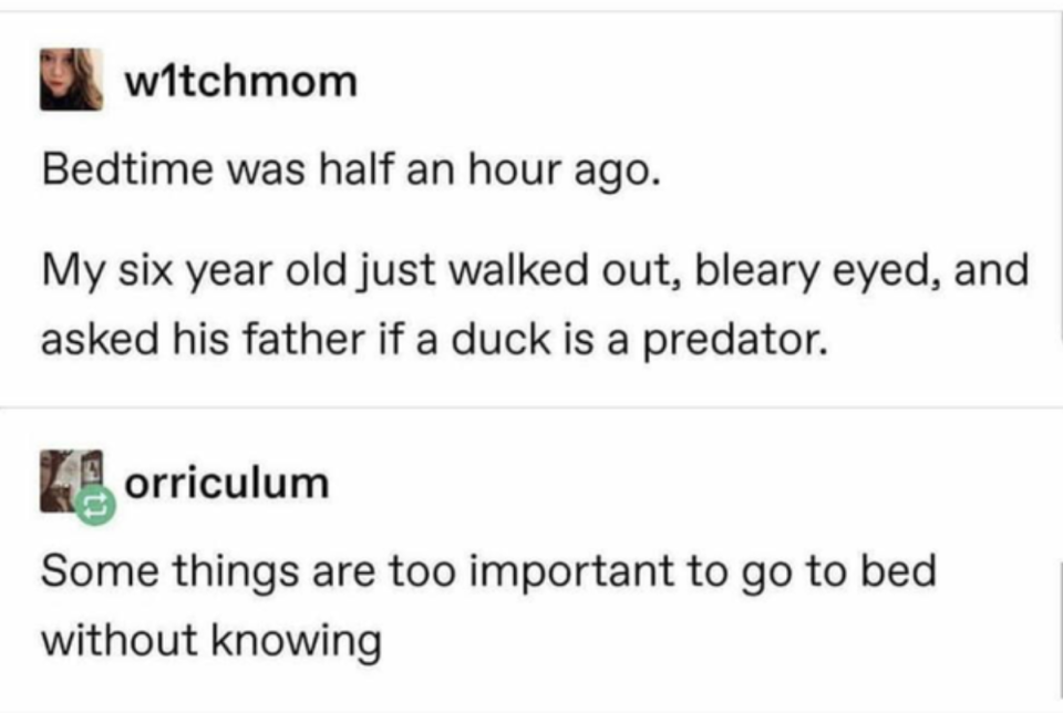 A child gets up after going to bed and asks if a duck is a predator