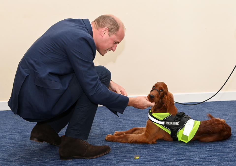 BELFAST, NORTHERN IRELAND - SEPTEMBER 09: Prince William, Duke of Cambridge meets with Chiefs of the PSNI, Fire Service and Ambulance Service, as he attends a PSNI Wellbeing Volunteer Training course to talk about mental health support within the emergency services at PSNI Garnerville on September 09, 2020 in Belfast, Northern Ireland.  (Photo by Tim Rooke/Pool/Samir Hussein/WireImage )